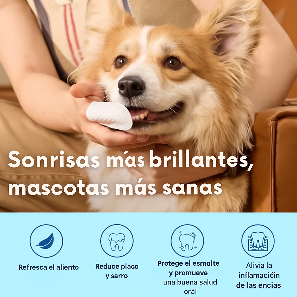 Kit FreshWipes: protege contra enfermedades dentales