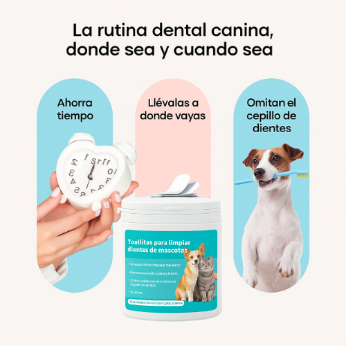 Kit FreshWipes: protege contra enfermedades dentales