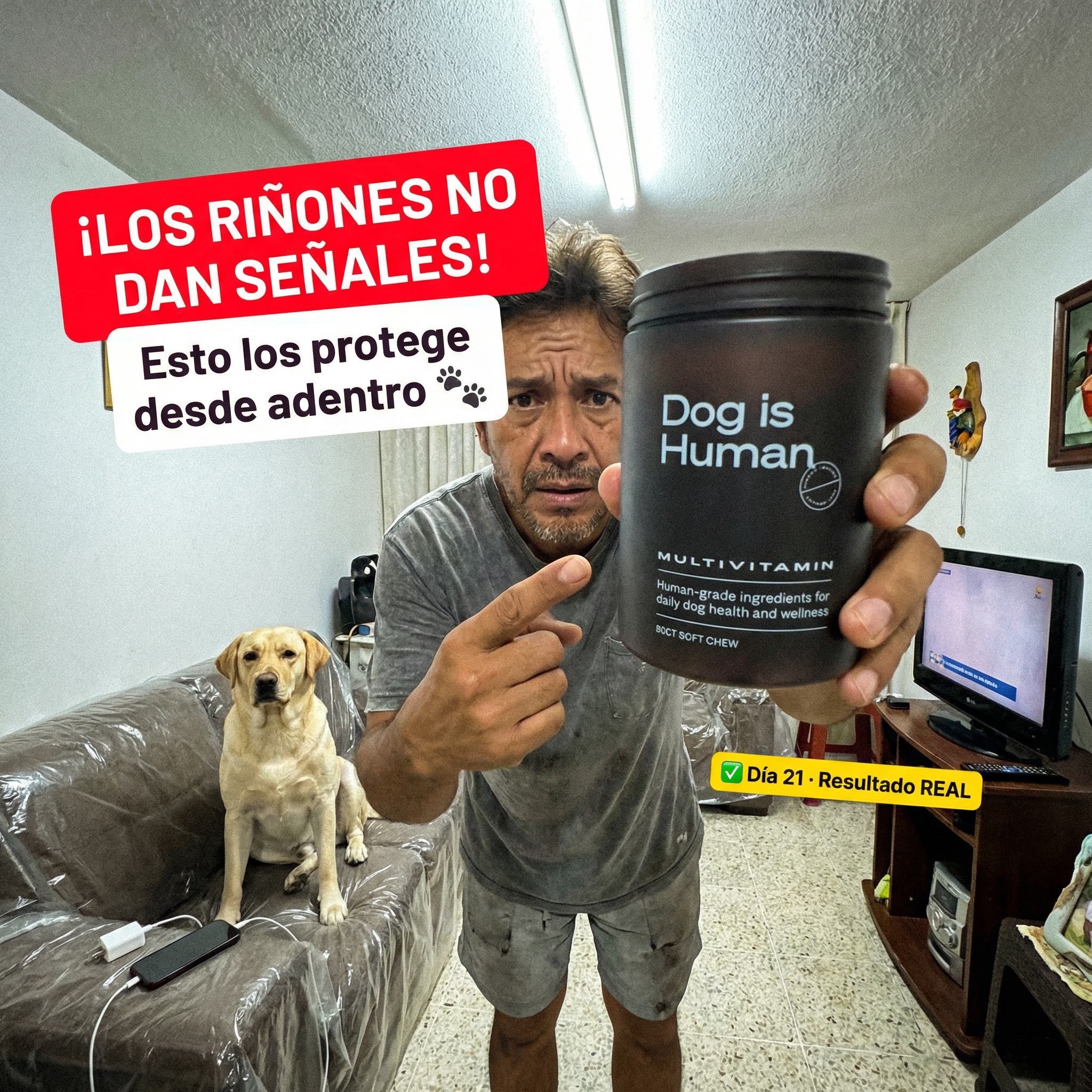 DOG HUMAN A2