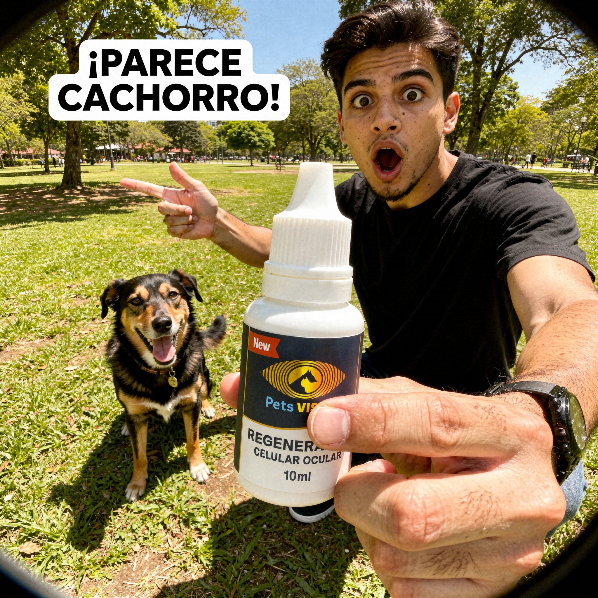 Pets Visión A1